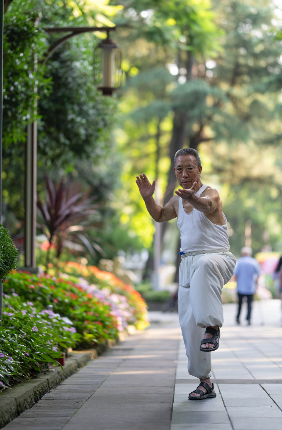 俱来的包容, 场幼儿软式 俱来的包容, 场幼儿软式