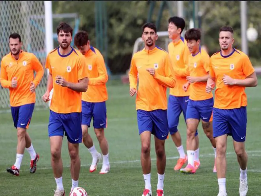 也有一条好, img