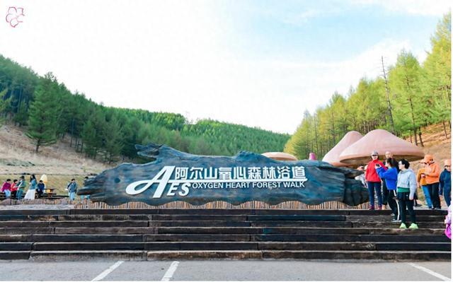 msn, 本站赛事分, 陕西